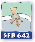SFB 642