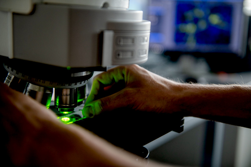 Microscopy Microscopy